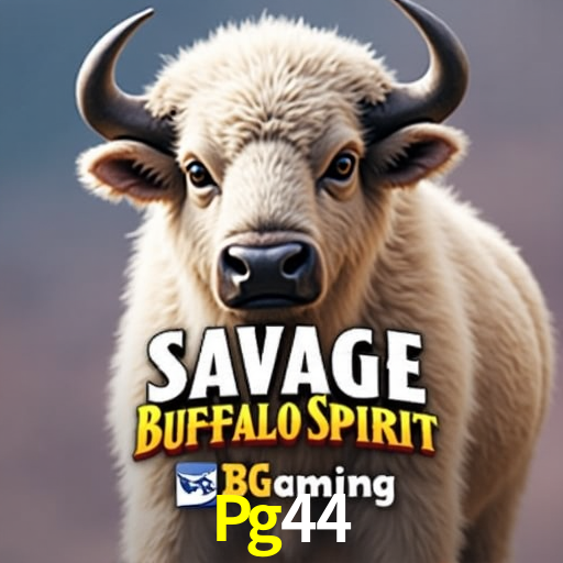 Apostas Esportivas na Pg44: Um Guia Completo